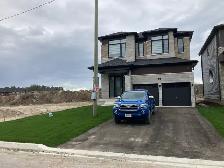 House for rent