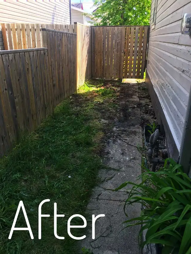 TREVOR'S JUNK REMOVAL 204-960-6421 - Photo 8