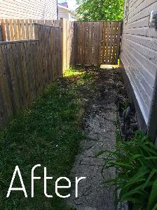 TREVOR'S JUNK REMOVAL 204-960-6421 - Photo 8