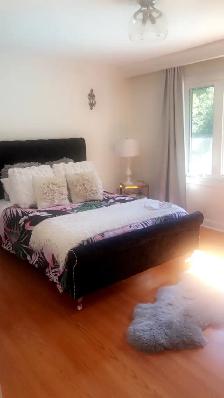 HUGE Moving Away Estate Sale! EVERYTHING must Go! - Photo 2