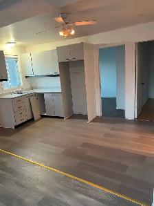 Grand 4 1 / 2, $1290/m, 7721 Rue Lecourt(H1L3J6), 2rd floor