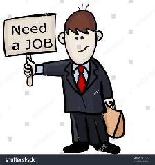 Professional Driver with Own Car Seeking Delivery Jobs