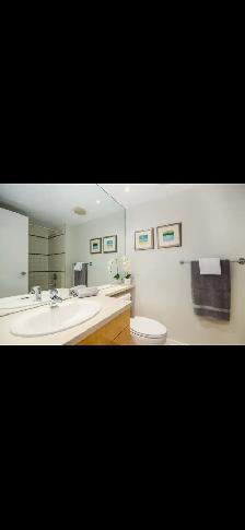 Furnished One Bedroom condo in Yaletown - Photo 3