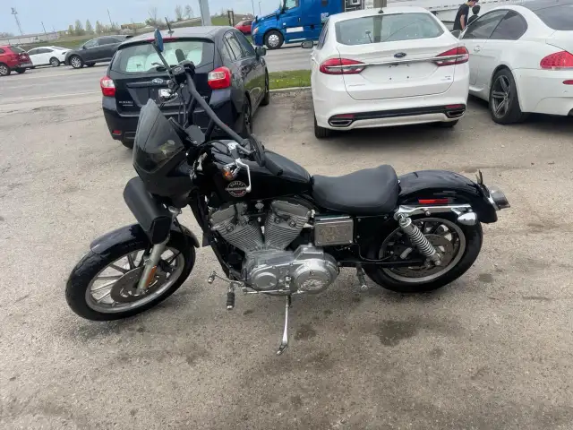 2002 Harley-Davidson XL883 - Photo 2