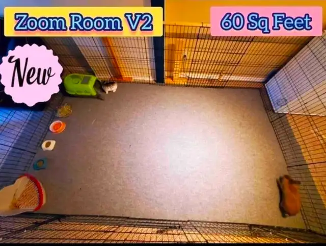 Rabbit Boarding & Training . XXL Private Rooms. 24/7 Love  Care - Photo 2