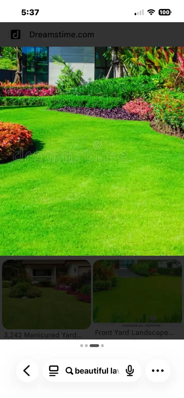 Carlos’s Lawn Care