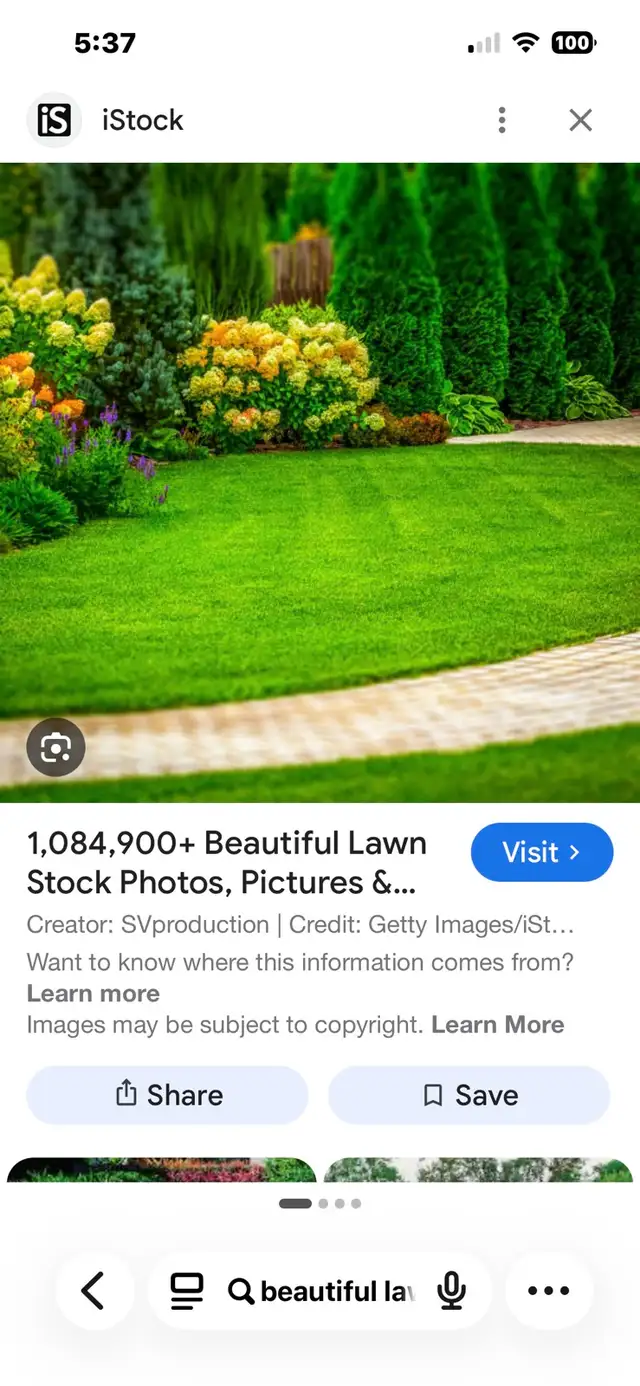 Carlos’s Lawn Care - Photo 2
