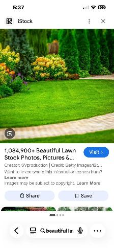 Carlos’s Lawn Care - Photo 2