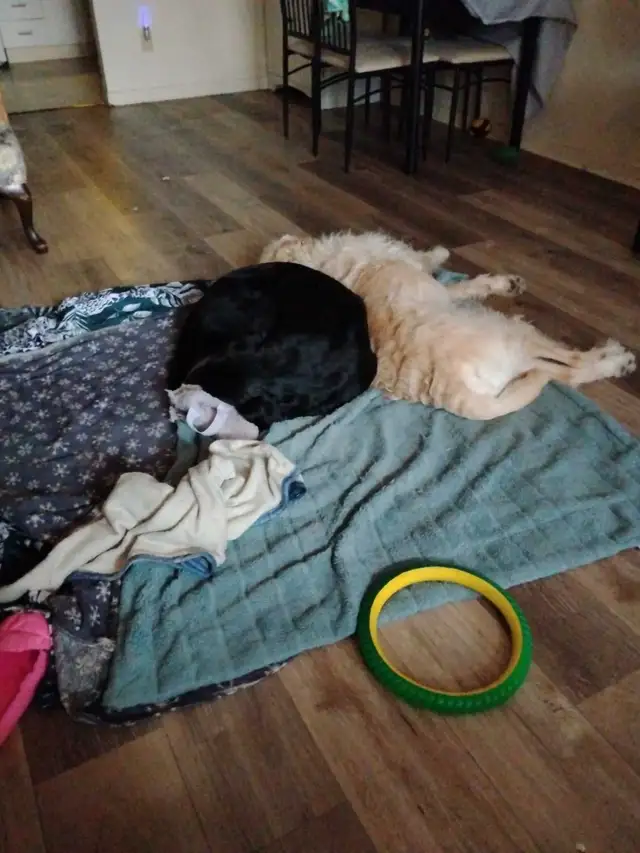 l looking for some help