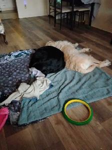 l looking for some help