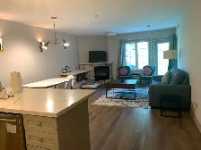 1 Bedroom Furnished Luxurious Apartment