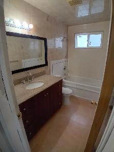 Niagara Falls 2-3 Bedroom APTS in a house all inclusive - Photo 4