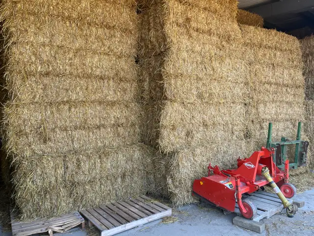 Wheat Straw for Sale