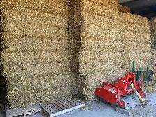 Wheat Straw for Sale