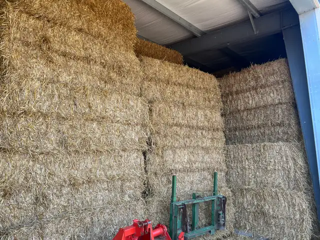 Wheat Straw for Sale - Photo 2