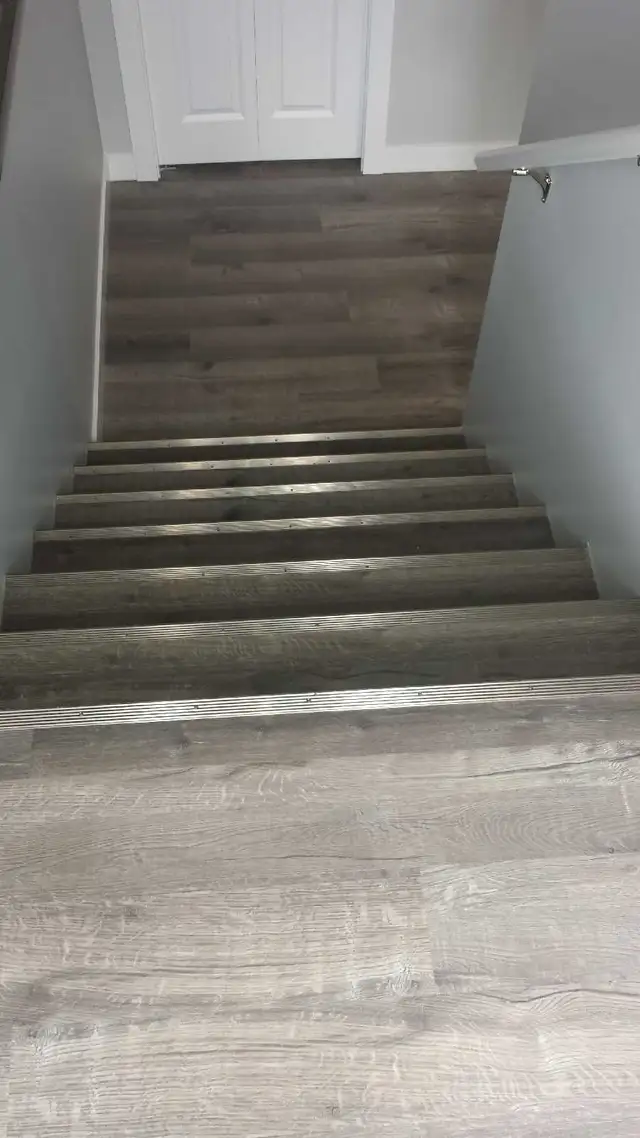 Basement suite for rent in Evergreen