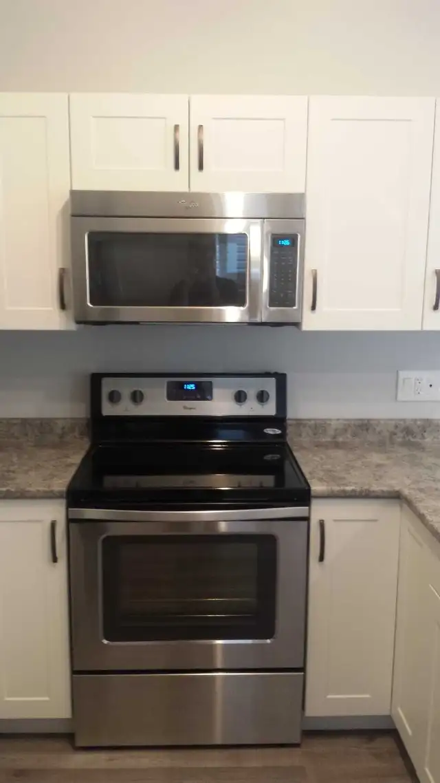 Basement suite for rent in Evergreen - Photo 4