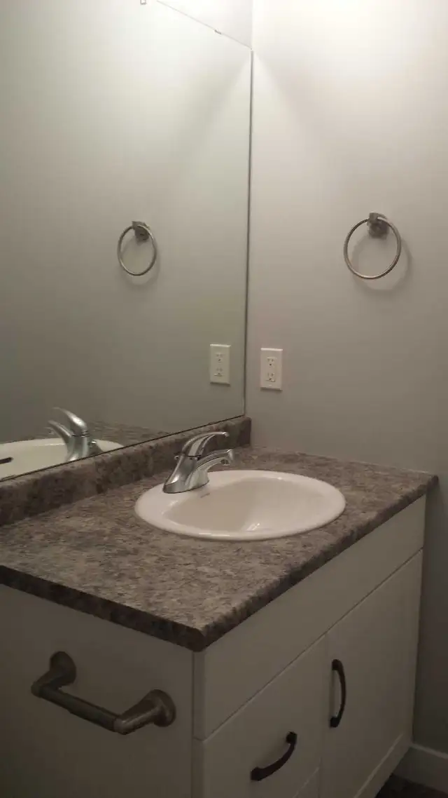 Basement suite for rent in Evergreen - Photo 8