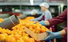 Hiring for fruit packaging