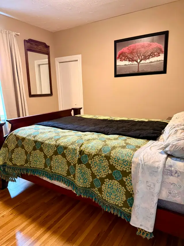 FOR SALE BY OWNER – FULLY RENOVATED 6-BED 3-BATH 2-KITCHENS - Photo 5
