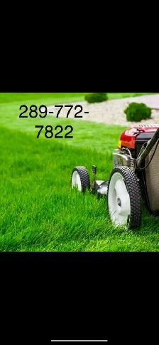 grass cutting and weed control 289-772-7822