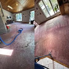 Carpet, sofa , and mattresses cleaning