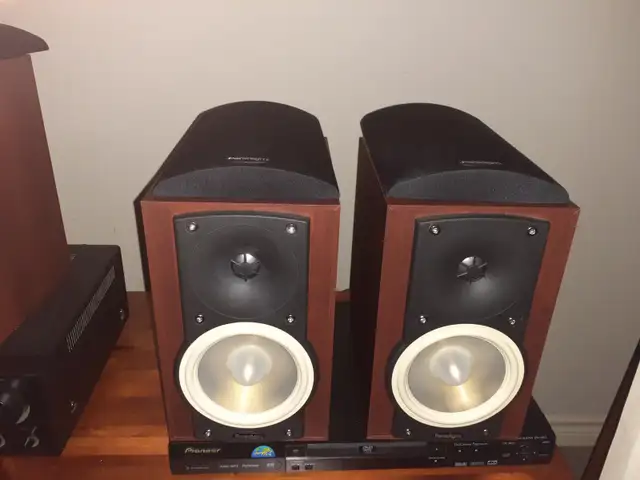 Paradigm Atom v.6