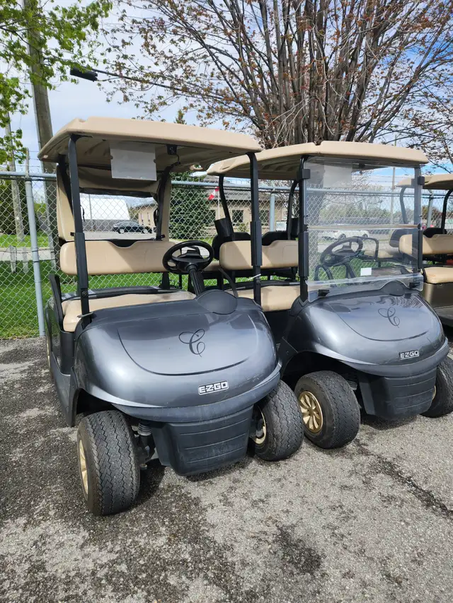Golf Cart - Photo 2