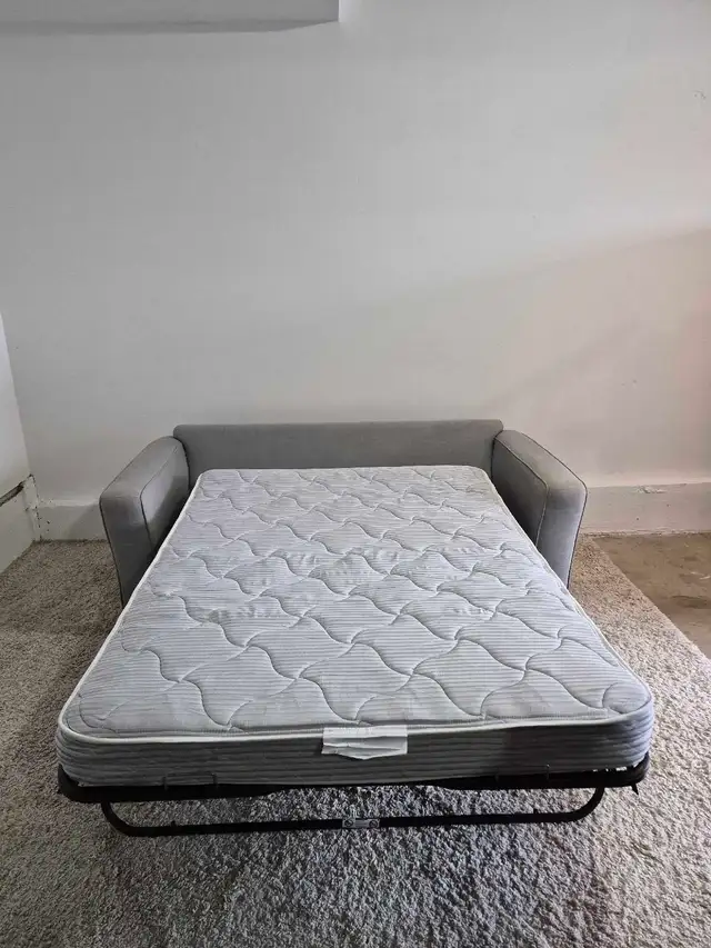 FREE DELIVERY Stylus 2 Seater Pullout Sofabed/Loveseat Sofa - Photo 4