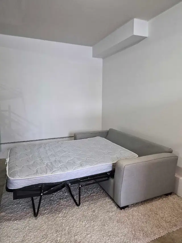 FREE DELIVERY Stylus 2 Seater Pullout Sofabed/Loveseat Sofa - Photo 5