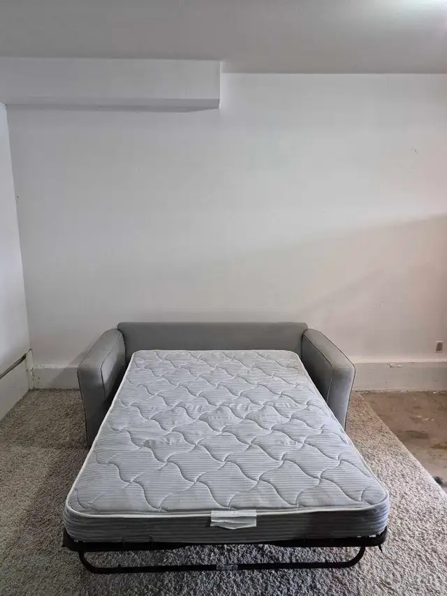 FREE DELIVERY Stylus 2 Seater Pullout Sofabed/Loveseat Sofa - Photo 8