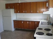 Half Double Unit in Carleton Heights with fenced-in private yard - Photo 8