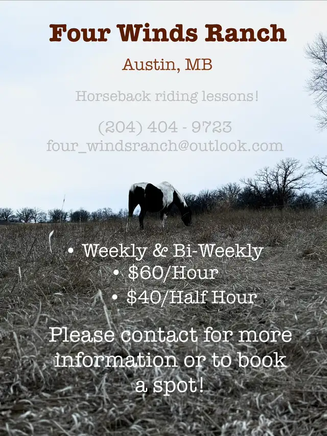 Horseback Riding Lessons! - Photo 2