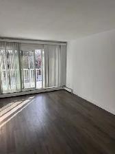 Large 2 BDRM in Old Strathcona! Top Flr. South Facing Balcony!