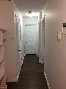 Large 2 BDRM in Old Strathcona! Top Flr. South Facing Balcony! - Photo 4