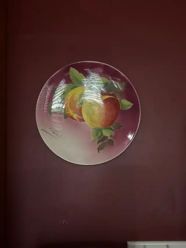 Obert Fruit Plate - Photo 3
