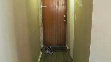 Queen's Students – 3 Bedroom Apt – Available September 1 - Photo 6