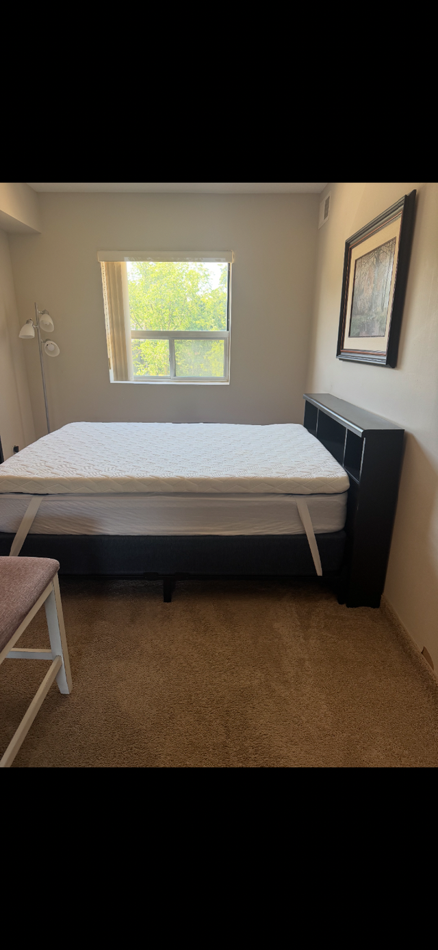 Student room for rent 700 a month five minute walk to Waterloo U - Photo 2