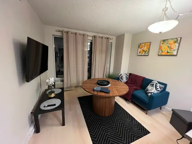 URGENT CONDO 3 ET 1/2 TOUT MEUBLÉ ET TOUT INCLUS 1ERJUIN LAVAL - Photo 2