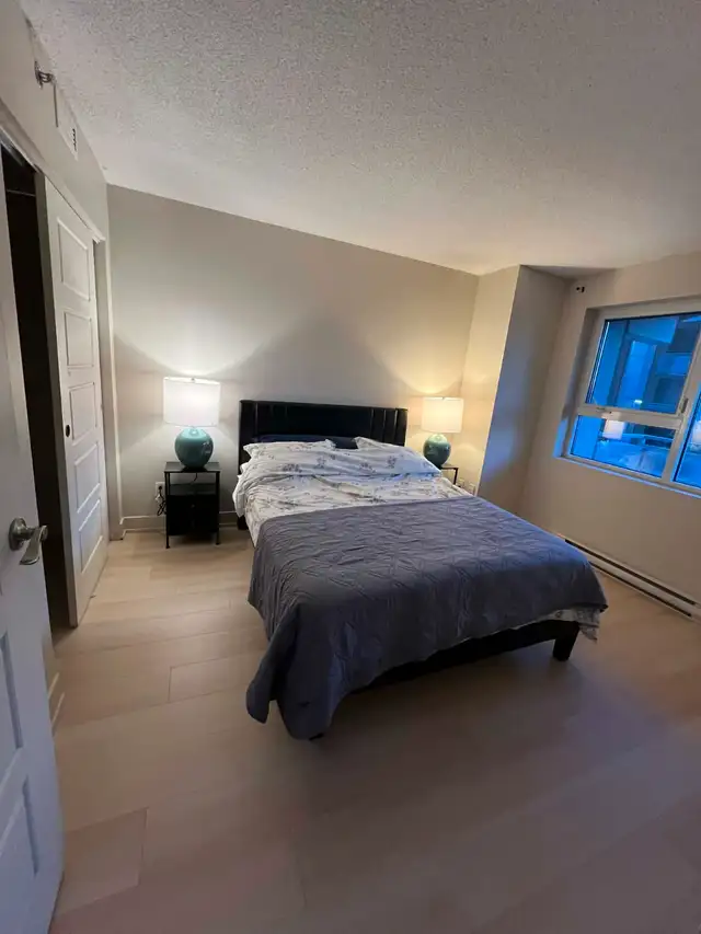 URGENT CONDO 3 ET 1/2 TOUT MEUBLÉ ET TOUT INCLUS 1ERJUIN LAVAL - Photo 5