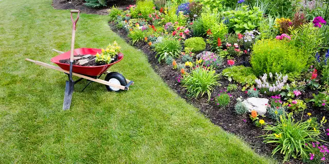 SPRING CLEANUP— YARD CLEANUP, LAWN CARE, GARDEN CLEANUP & JUNK R