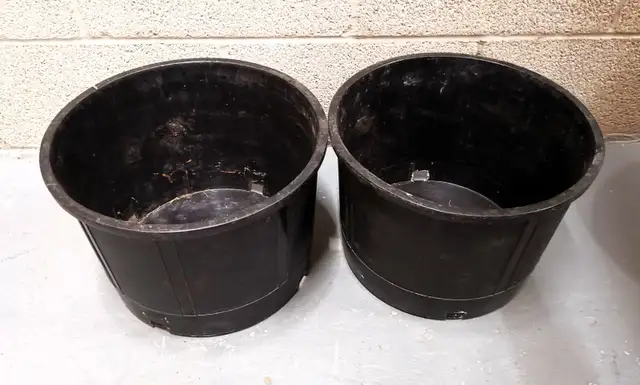Extra Large Plant  Pots (X2) ( D: 32cm, H: 24cm ) - Photo 2