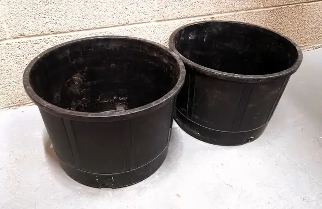 Extra Large Plant  Pots (X2) ( D: 32cm, H: 24cm ) - Photo 3