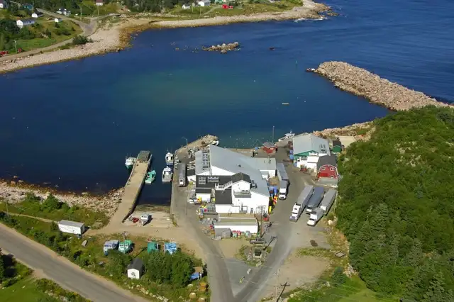 Seafood processor job