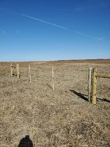 Custom fencing - Photo 2