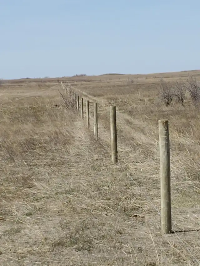 Custom fencing - Photo 5