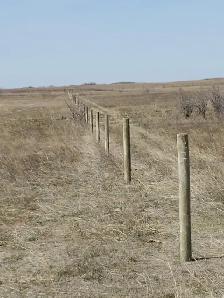 Custom fencing - Photo 5