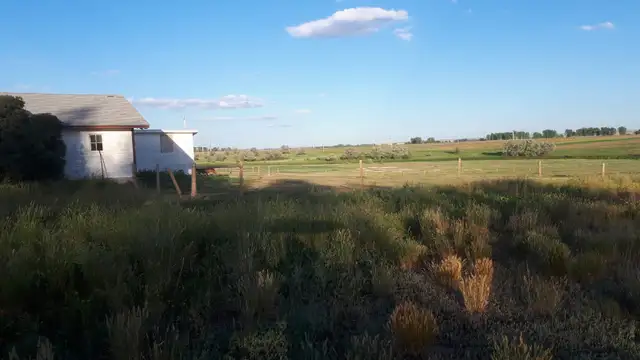 horse boarding avaliable - Photo 2