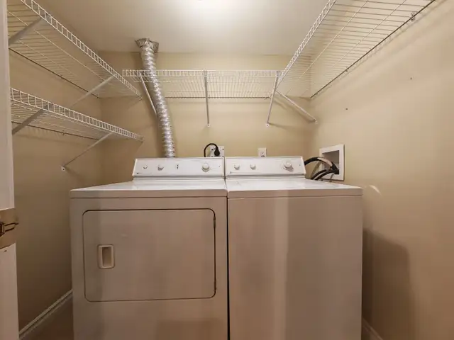 Fraser Heights Basement Suite for Rent-Excellent Schools, Shops - Photo 5