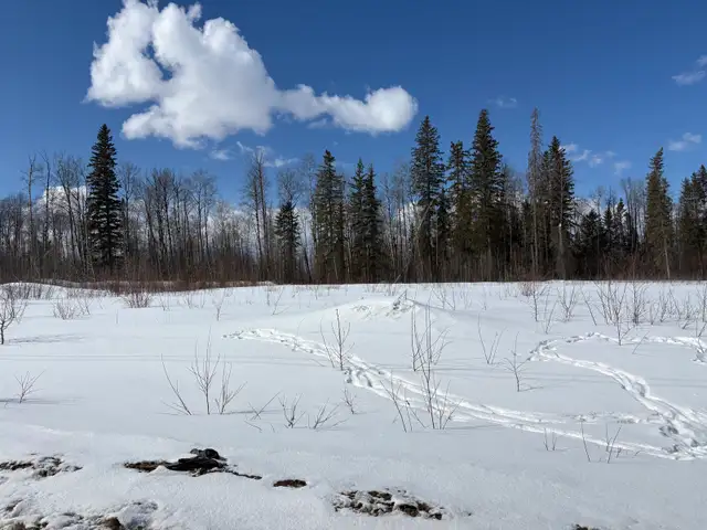 Commercial Lot/Acreage/Land for Sale